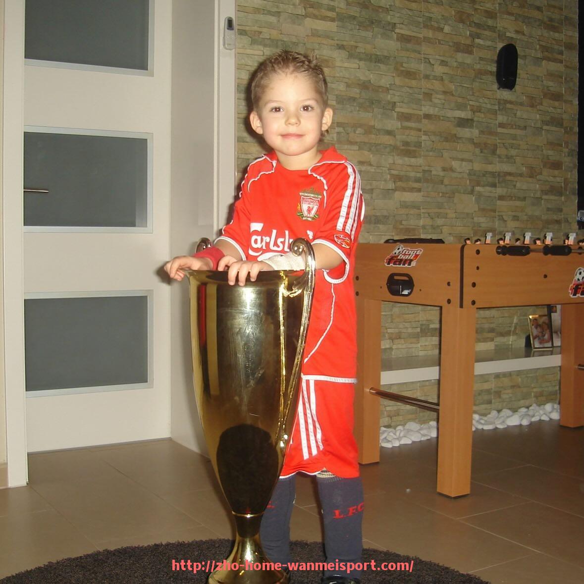 完美体育官方网站-FIFA19中如何将中超球队加入英超联赛？